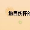 觸目傷懷的的意思（觸目傷懷的意思）
