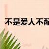 不是愛人不配情深DJ（不是愛人不配情深）