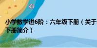 小學數學進6階:六年級下冊(關于小學數學進6階:六年級下冊簡介)