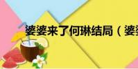 婆婆來了何琳結局(婆婆來了何琳)