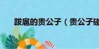 跋扈的貴公子(貴公子碰上囂張丫頭)