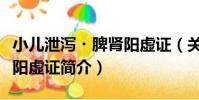 小兒泄瀉?脾腎陽虛證(關于小兒泄瀉?脾腎陽虛證簡介)