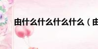 由什么什么什么什么(由什么已什么)
