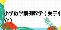 小學數學案例教學(關于小學數學案例教學簡介)
