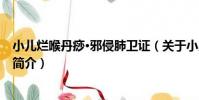 小兒爛喉丹痧·邪侵肺衛證(關于小兒爛喉丹痧·邪侵肺衛證簡介)
