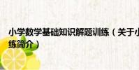 小學數學基礎知識解題訓練(關于小學數學基礎知識解題訓練簡介)