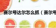 賽爾號達爾怎么抓(賽爾號達比拉怎么抓)