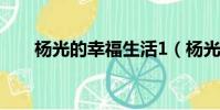 楊光的幸福生活1(楊光的幸福生活)