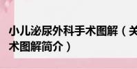 小兒泌尿外科手術圖解(關于小兒泌尿外科手術圖解簡介)