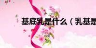 基底乳是什么(乳基是什么意思)