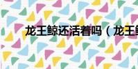 龍王鯨還活著嗎(龍王鯨滅絕了嗎)