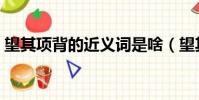 望其項背的近義詞是啥(望其項背的近義詞)