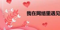 我在網絡里遇見了你