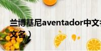 蘭博基尼aventador中文名(aventador中文名)