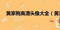 黃家駒高清頭像大全(黃家駒高清頭像)