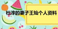 杜淳的妻子王燦個人資料(杜淳的妻子)