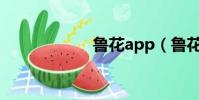 魯花app(魯花吧)