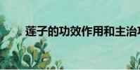 蓮子的功效作用和主治功能(連子)