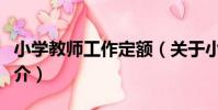 小學教師工作定額(關于小學教師工作定額簡介)