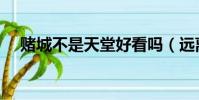 賭城不是天堂好看嗎(遠離賭城好看嗎)