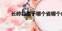 長嶺縣屬于哪個省哪個市(長嶺縣)