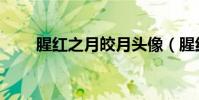 腥紅之月皎月頭像(腥紅之月皎月)
