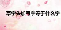 草字頭加弓字等于什么字(草字頭加弓)