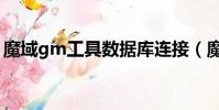 魔域gm工具數據庫連接(魔域私服gm工具)