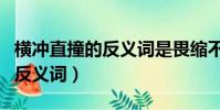 橫沖直撞的反義詞是畏縮不前嗎(橫沖直撞的反義詞)