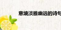 意境淡雅幽遠的詩句(意境)