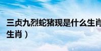 三貞九烈蛇豬現是什么生肖(三貞九烈是什么生肖)
