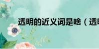 透明的近義詞是啥(透明的近義詞)