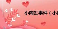 小陶虹事件(小陶虹)