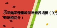 小學數學課堂教學與素養培植(關于小學數學課堂教學與素養培植簡介)