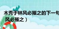木秀于林風必摧之的下一句是什么(木秀于林 風必摧之)