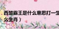 西楚霸王是什么意思打一生肖(西楚霸王是什么生肖)