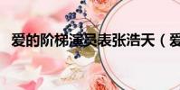 愛的階梯演員表張浩天(愛的階梯演員表)