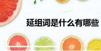 延組詞是什么有哪些(延組詞)