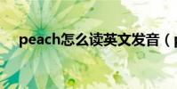 peach怎么讀英文發音(peach怎么讀)