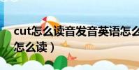 cut怎么讀音發音英語怎么讀動畫視頻(cut怎么讀)