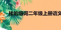 桂的組詞二年級上冊語文(桂的組詞)