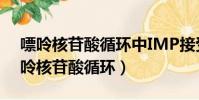 嘌呤核苷酸循環中IMP接受的氨基來自(嘌呤核苷酸循環)