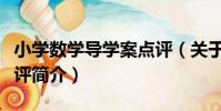 小學數學導學案點評(關于小學數學導學案點評簡介)