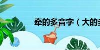 牽的多音字(大的多音字)