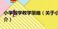 小學數學教學策略(關于小學數學教學策略簡介)