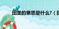 田壟的意思是什么?(田壟的意思)