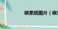碳素紙圖片(碳素紙)