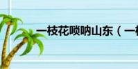 一枝花嗩吶山東(一枝花嗩吶)