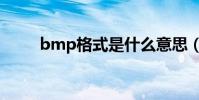 bmp格式是什么意思(bmp格式)