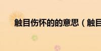 觸目傷懷的的意思(觸目傷懷的意思)